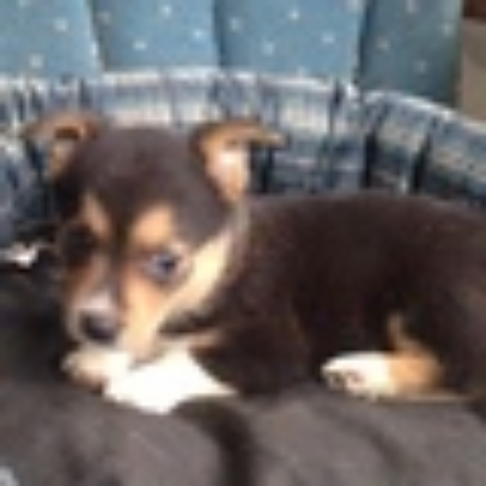 Meet your Posher, Donna